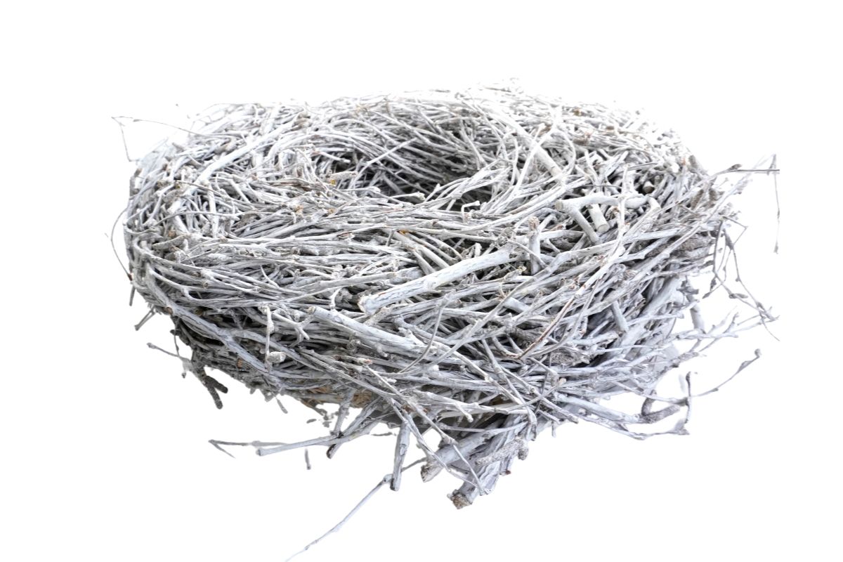 Deko Naturkranz Tischkranz Türkranz Birkenkranz 30cm ∅