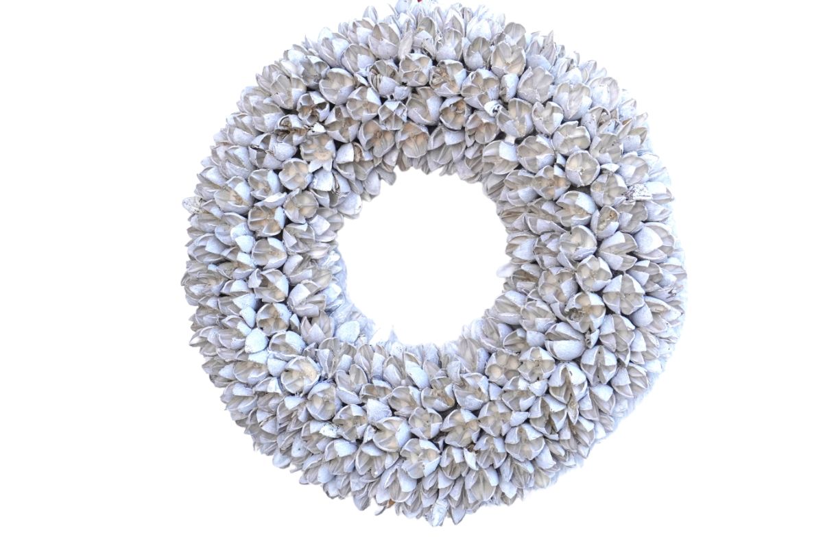 Couronne Türkranz Naturkranz Bakuli Früchte Trocken Kranz White 30 ∅