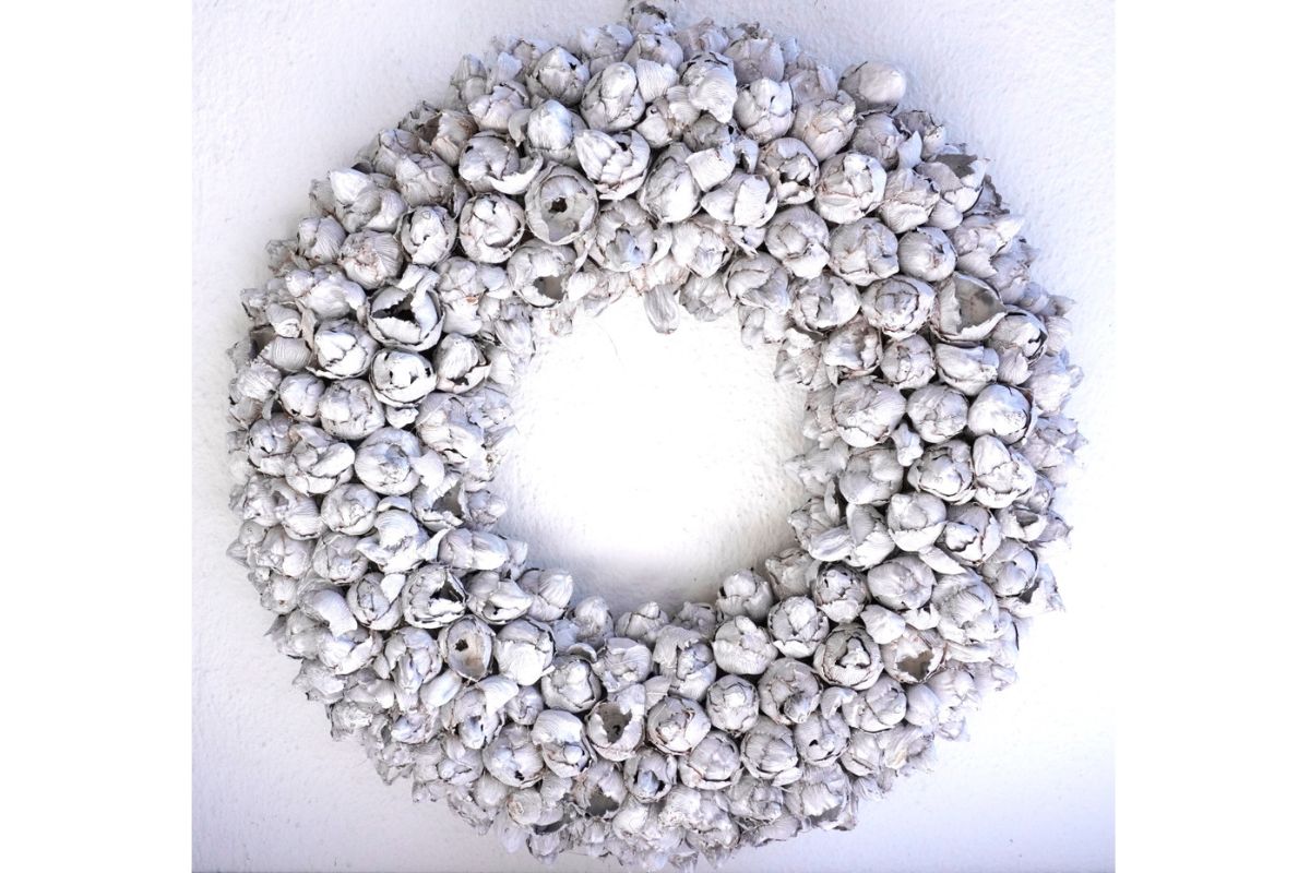 Couronne Türkranz Coconut Fruits Wandkranz Trocken Haltbar White Wash Handarbeit 40cm ∅